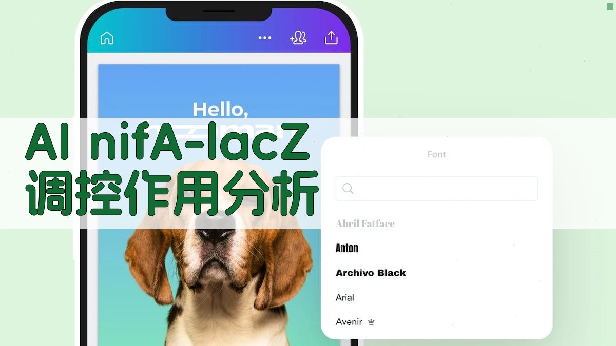 AI nifA-lacZ 调控作用分析